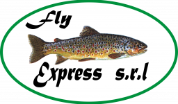 Logo Fly Express