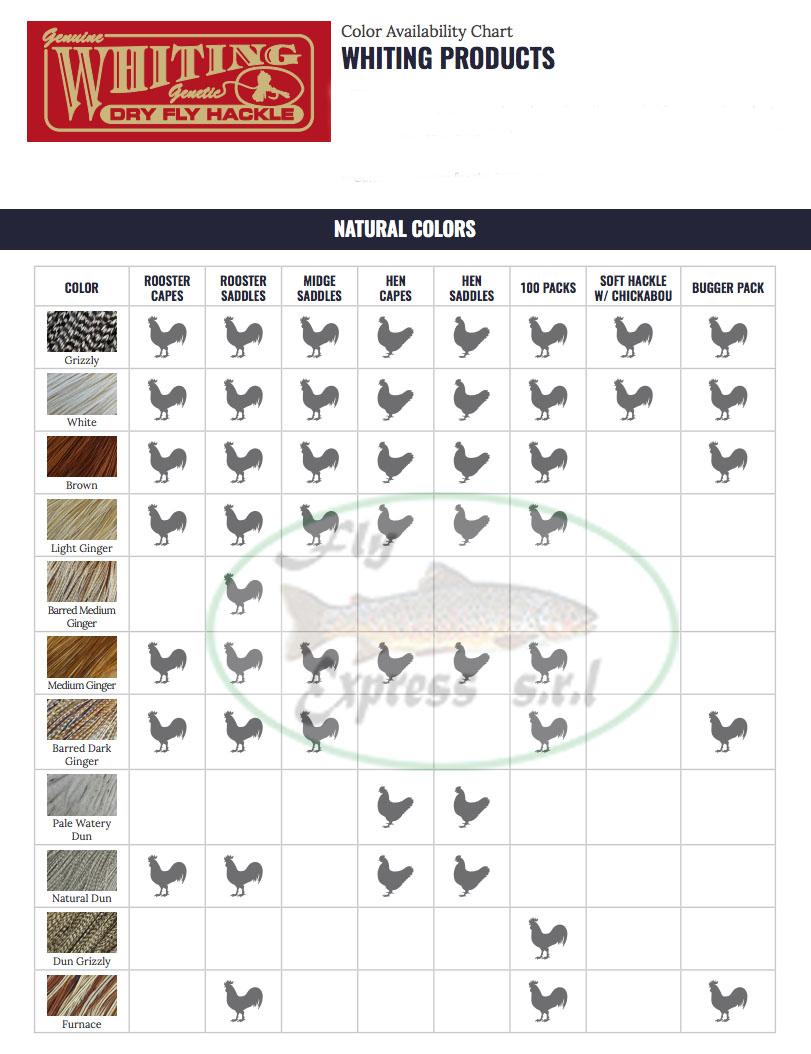 WHITING WOLLY BUGGER PACK - Imagen 4