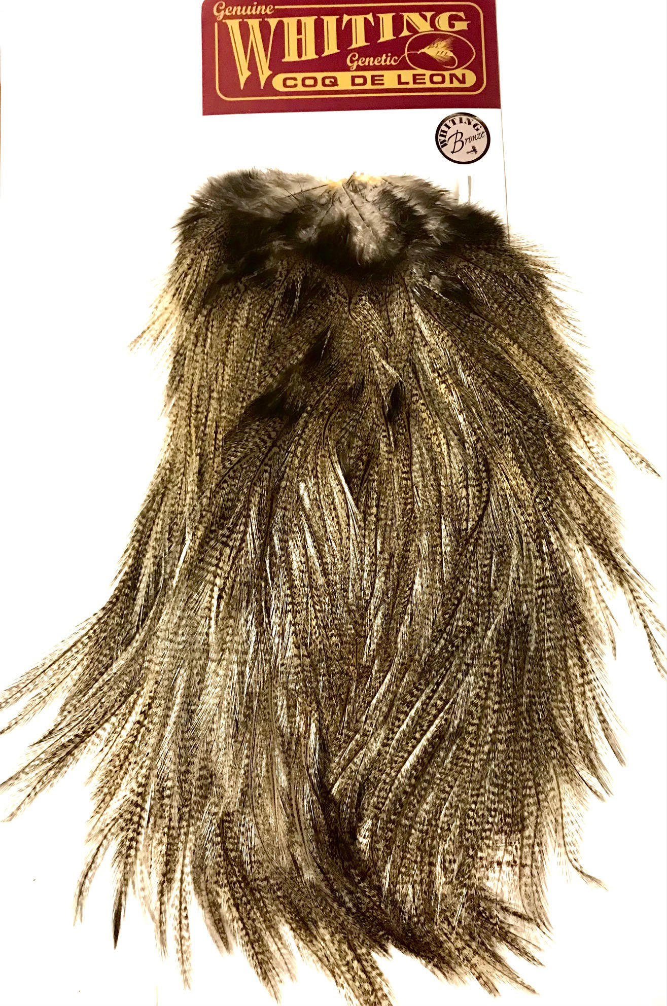 COQ DE LEON ROOSTER SADDLE SILVER